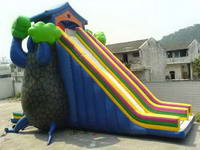 Inflatable Slide CLI-822