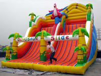 Inflatable Slide  CLI-478