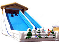 Inflatable Slide  CLI-1202