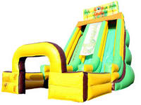 inflatable slide  CLI-1206