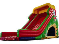 Inflatable Slide  CLI-1233