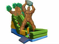 Inflatable Slide  CLI-835