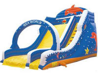 inflatable slide  CLI-2151