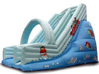 inflatable slide  CLI-2153