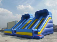 inflatable slide  CLI-2139