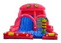 Inflatable slide CLI-58