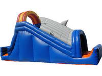 Inflatable slide CLI-43