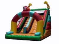 Inflatable slide CLI-21