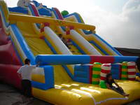 Inflatable Slide CLI-201-1