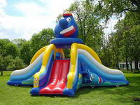 inflatable slide  CLI-7