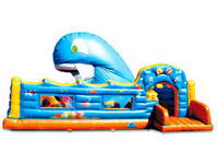 Inflatable Slide CLI-423