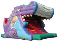 Inflatable Slide  CLI-414