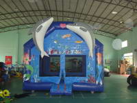 BOU-12-5 Inflatable bouncer