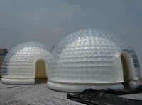 Clear Tent-1016(1)