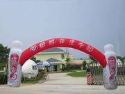 Inflatable Arches ARCH-1029
