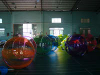Water walk ball  WWB-5-1    2m