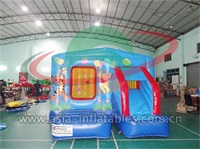 Inflatable Winnie The Pooh Bouncer Combo